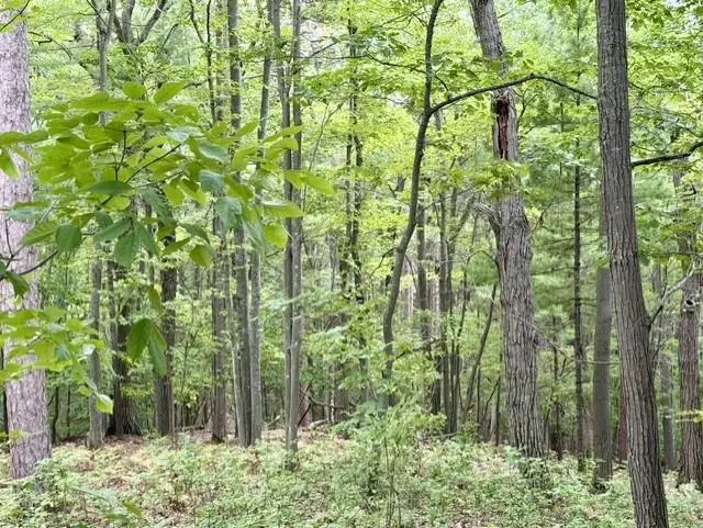 35 Brook Hill Cottages, Glen Arbor, MI 49636 - #2