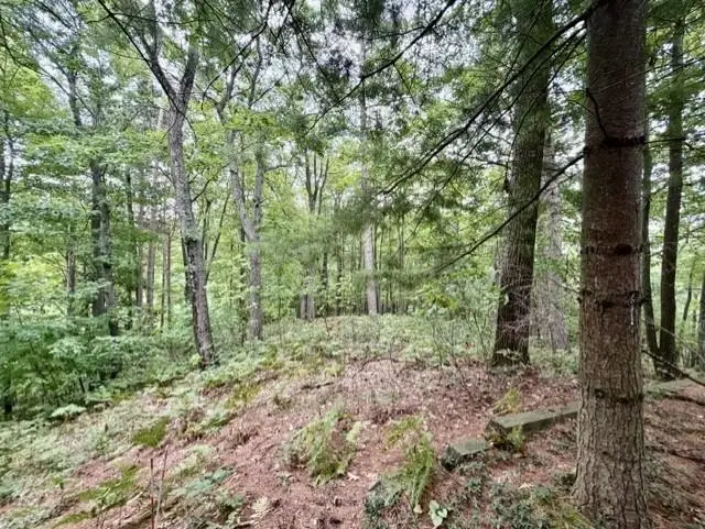 35 Brook Hill Cottages, Glen Arbor, MI 49636 - #3