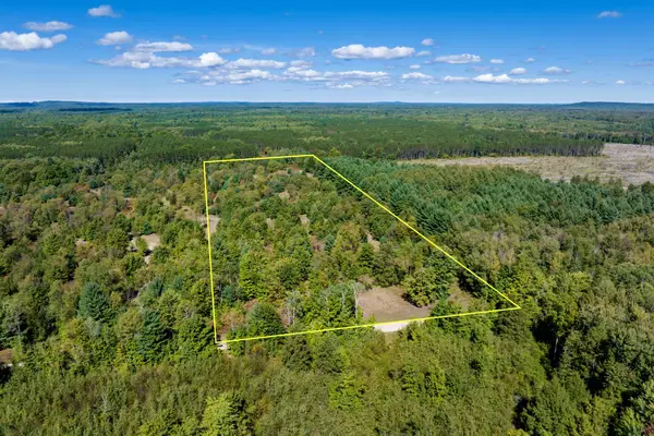 00 Landis, Thompsonville, MI 49683