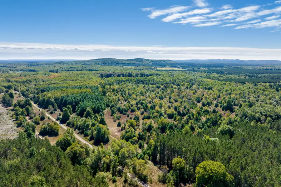 00 Landis, Thompsonville, MI 49683 - #2