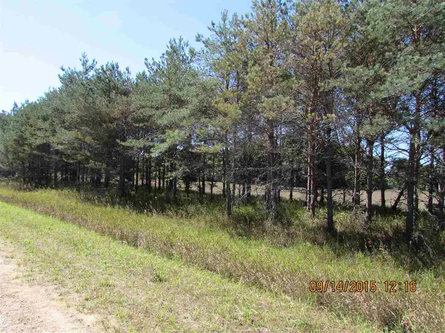440 Kleehammer Club, Kalkaska, MI 49646 - #3