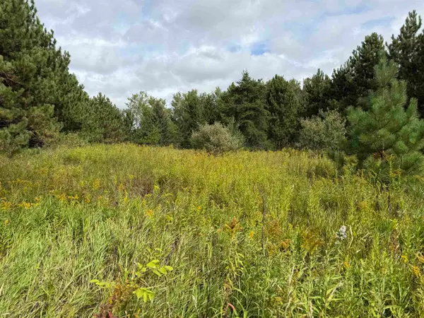 V/L 185th, LeRoy, MI 49655