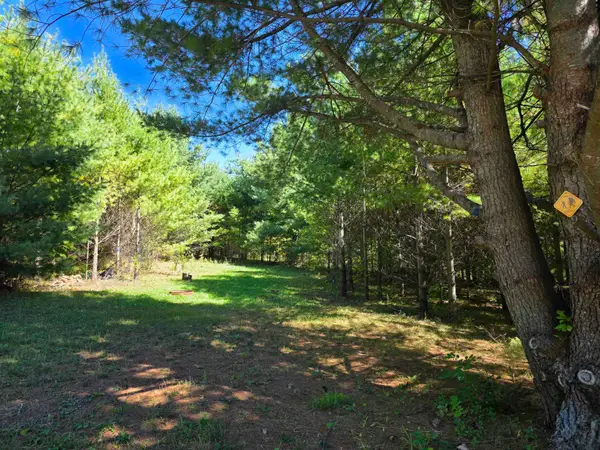 577 Birch, Mikado, MI 48745