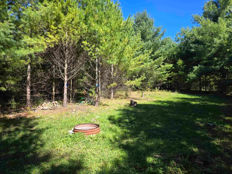 577 Birch, Mikado, MI 48745 - #2