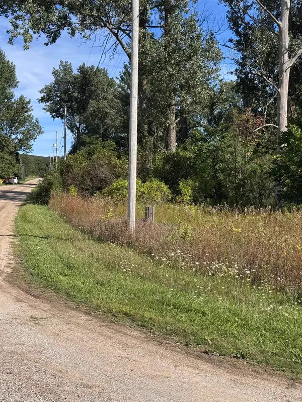 01 First, Mesick, MI 49668