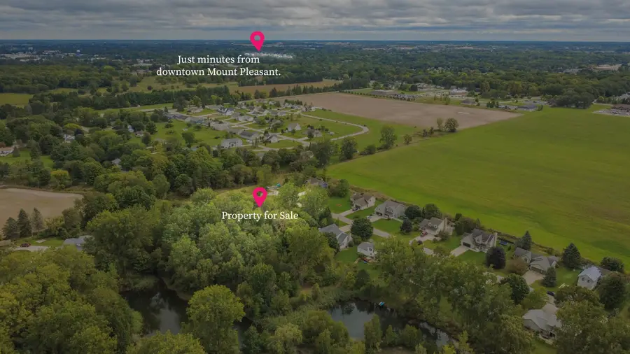 Mcdonald, Mount Pleasant, MI 48858 - #2