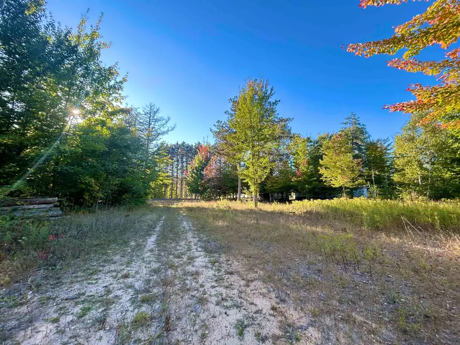 00 Landis, Thompsonville, MI 49683 - #2