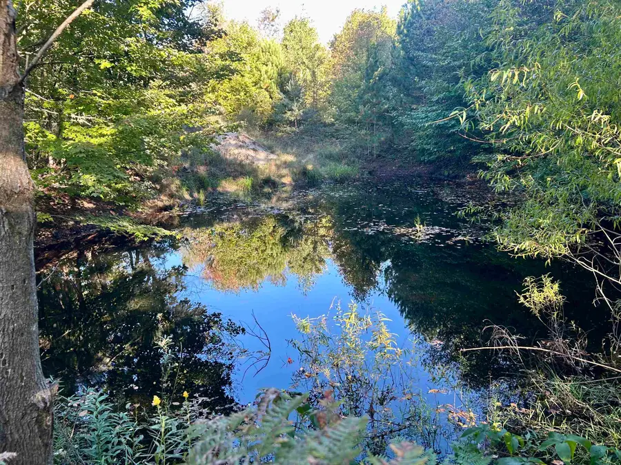 00 Landis, Thompsonville, MI 49683 - #3