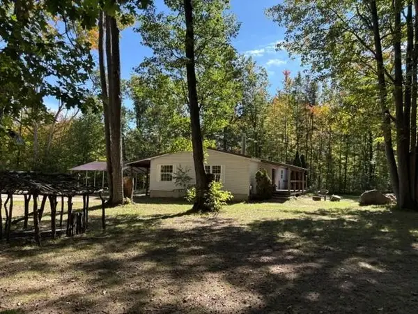 11830 Us-131 N, Fife Lake, MI 49633