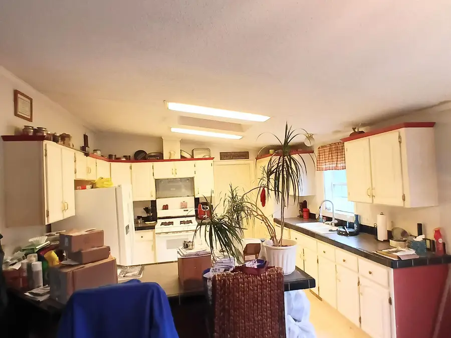 17538 Ridgeway, Thompsonville, MI 49683 - #3
