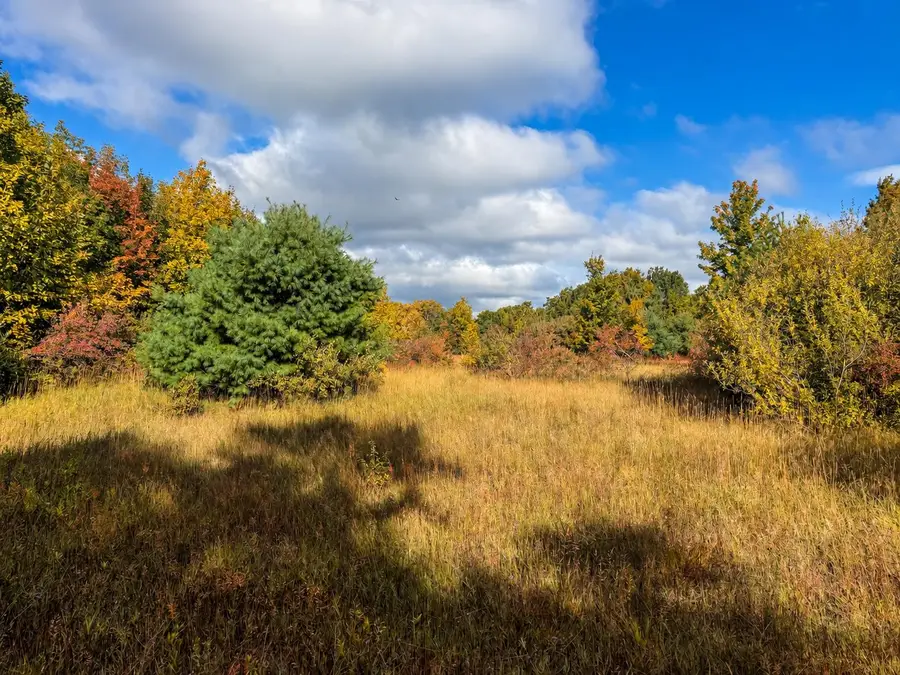 Parcel 3 / 4 E Darga, Cedar, MI 49621 - #3