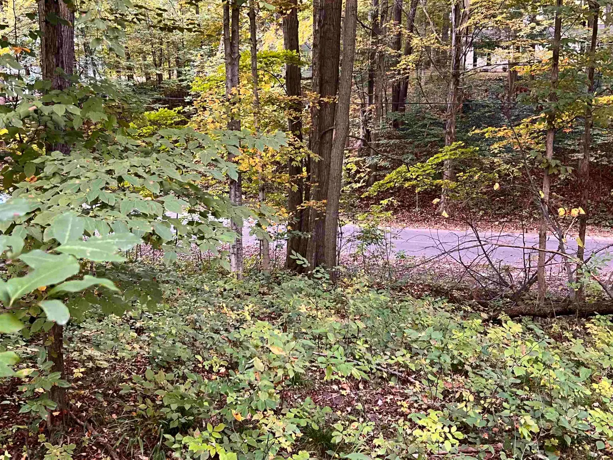 Lot 71 Birch View, Lake Ann, MI 49650 - #1