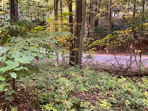 Lot 71 Birch View, Lake Ann, MI 49650