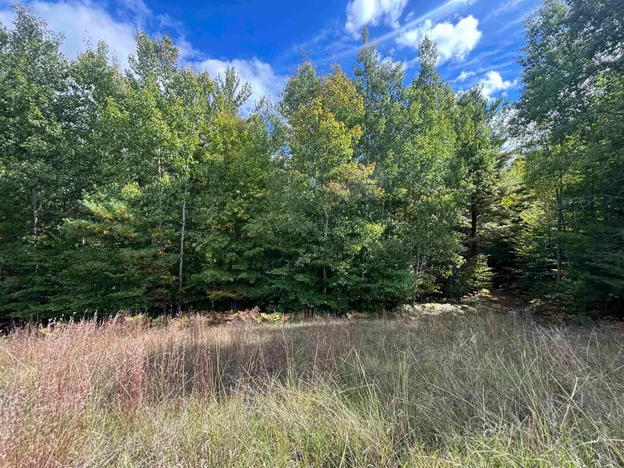 5479 Glendenning, Williamsburg, MI 49690 - #3