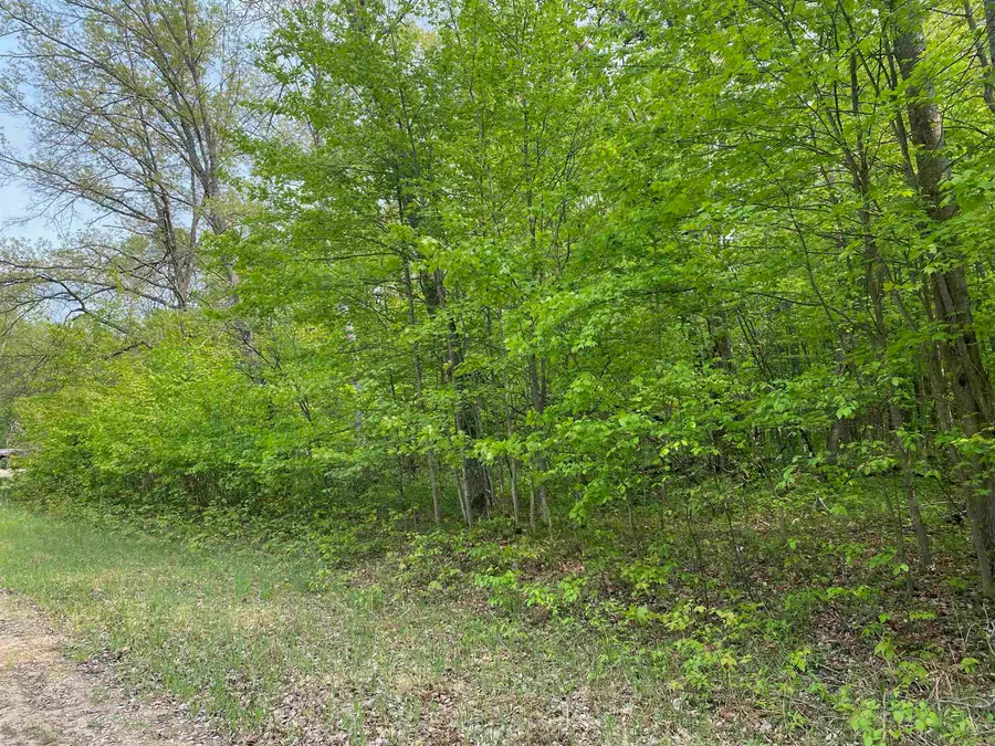 Fribourg, Reed City, MI 49677 - #2