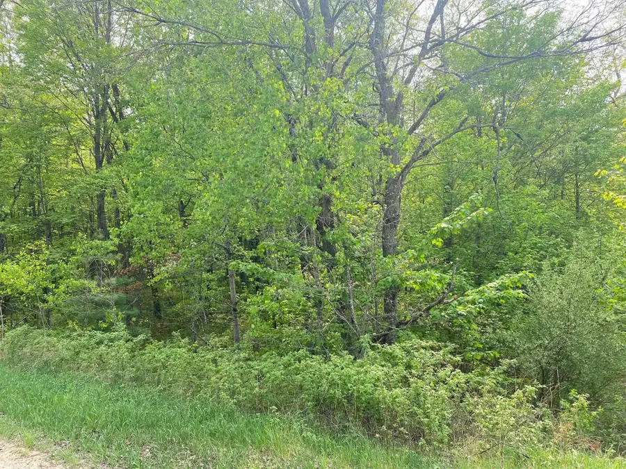 Fribourg, Reed City, MI 49677 - #3