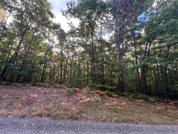 Lot 53 Bramblewood, Cadillac, MI 49601