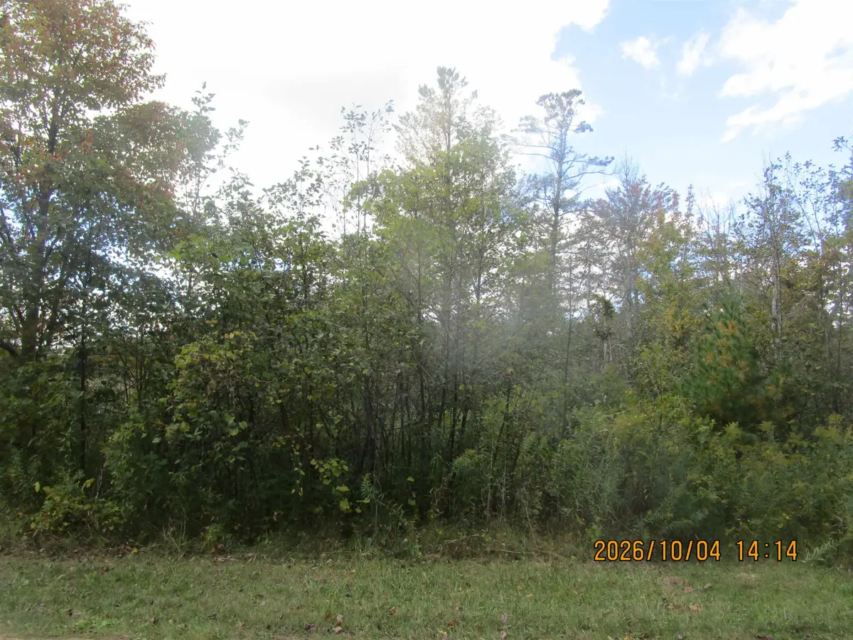00 Ausable Point, East Tawas, MI 48730 - #1