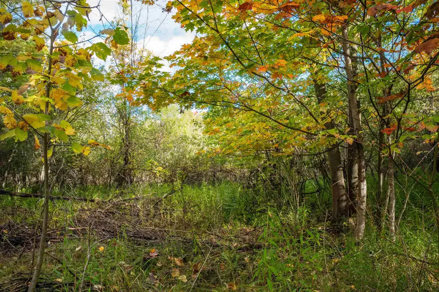 V/L County Road 633, Grawn, MI 49637 - #3