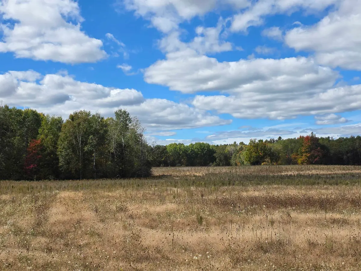 00 Towerline, Hale, MI 48739 - #1