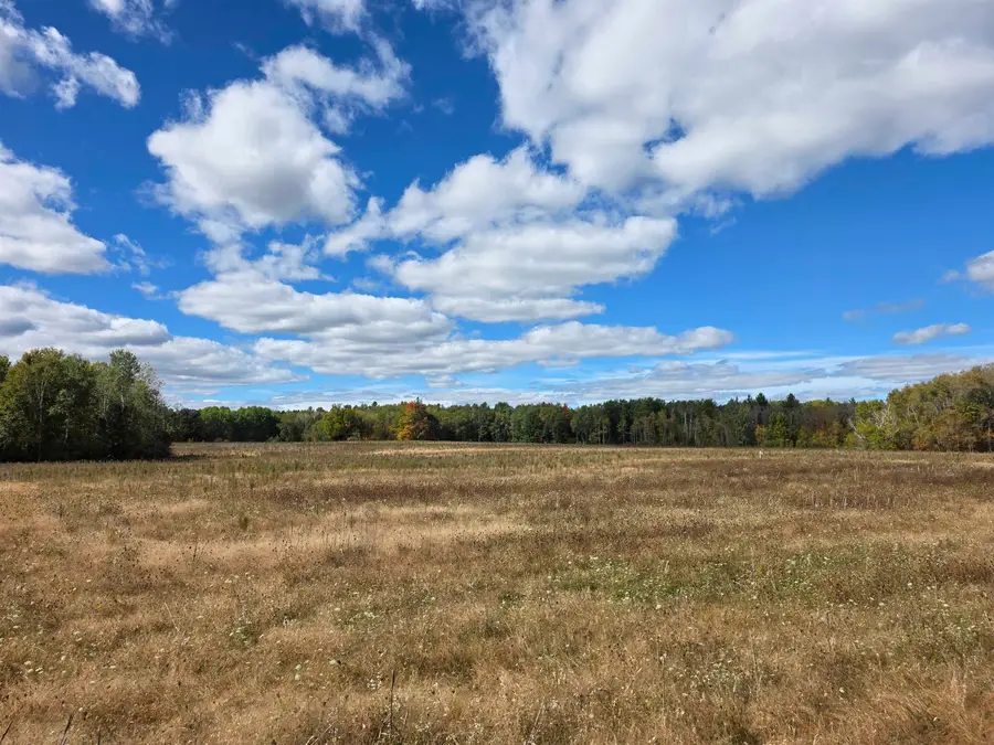 00 Towerline, Hale, MI 48739 - #2