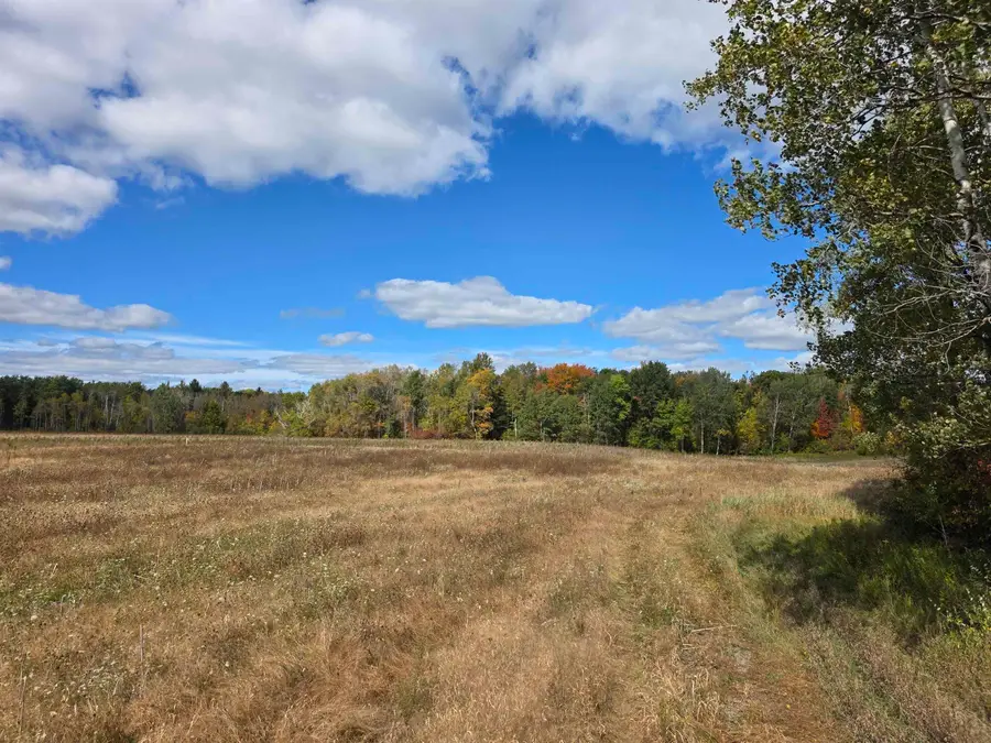 00 Towerline, Hale, MI 48739 - #3