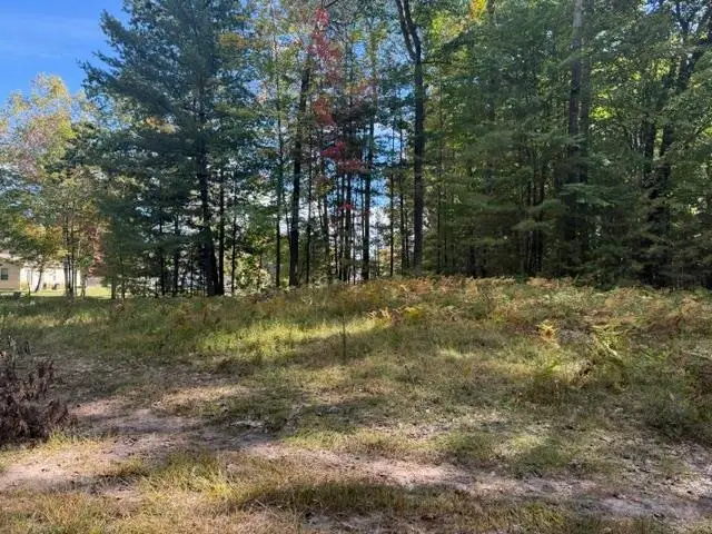 V/L .41 AC Old, Houghton Lake, MI 48629 - #3