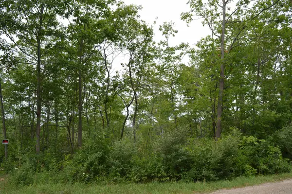 Fisher, Traverse City, MI 49685
