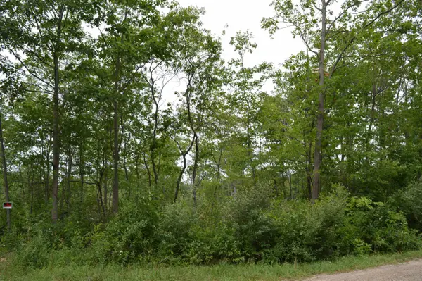 Fisher, Traverse City, MI 49685