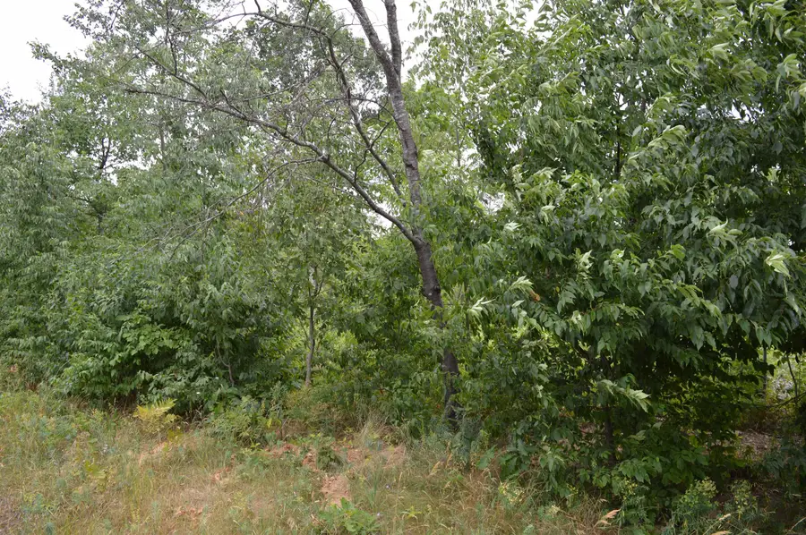 Fisher, Traverse City, MI 49685 - #3