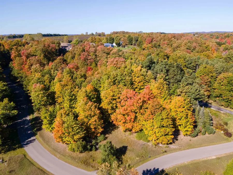 5868 S Calle, Suttons Bay, MI 49682 - #3