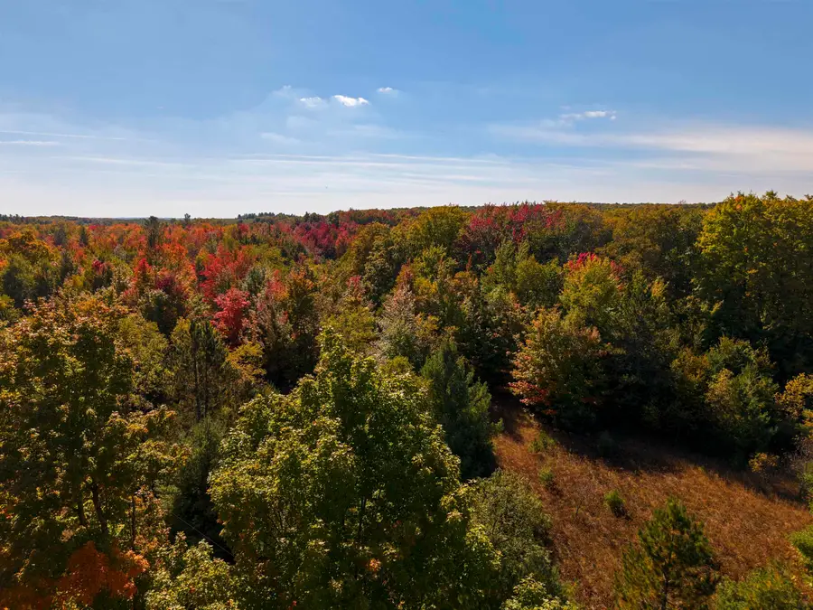 0000 Shively, Fife Lake, MI 49633 - #2