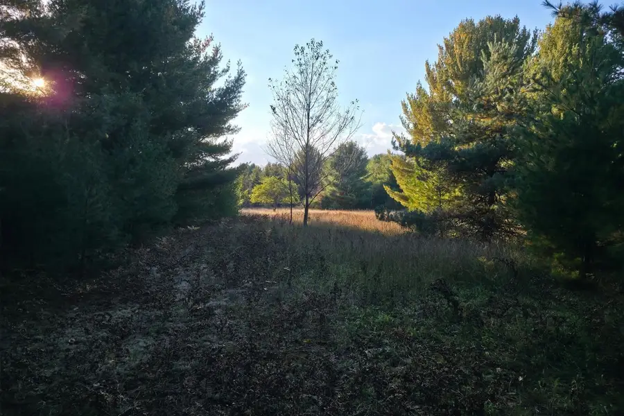 10 VL Betsie River, Interlochen, MI 49643 - #3