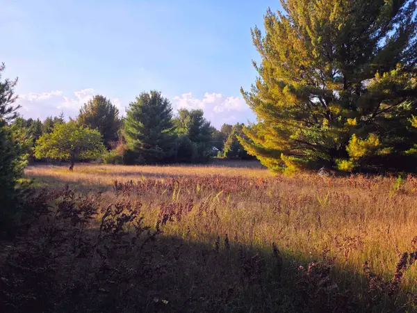 8 VL Betsie River, Interlochen, MI 49643