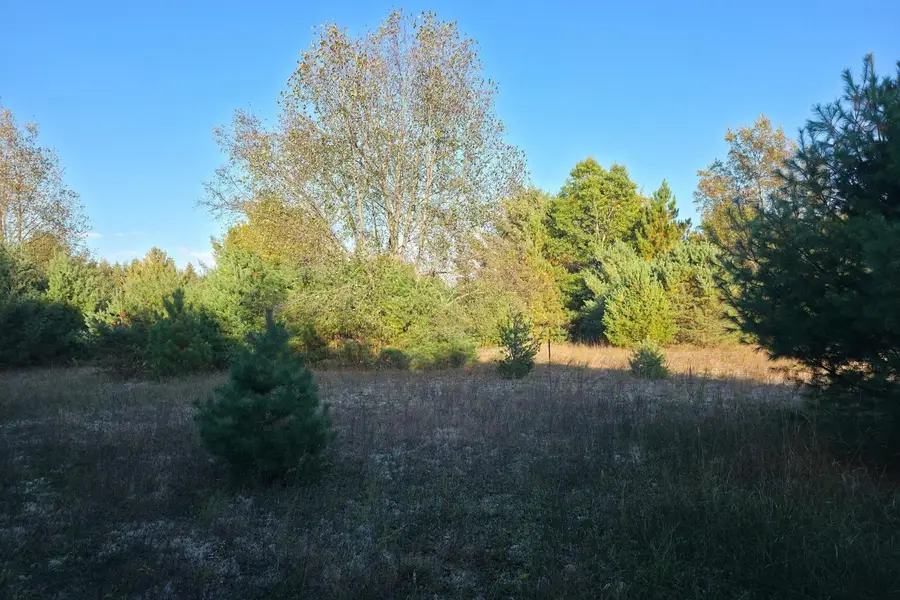 18.88 VL Betsie River, Interlochen, MI 49643 - #2