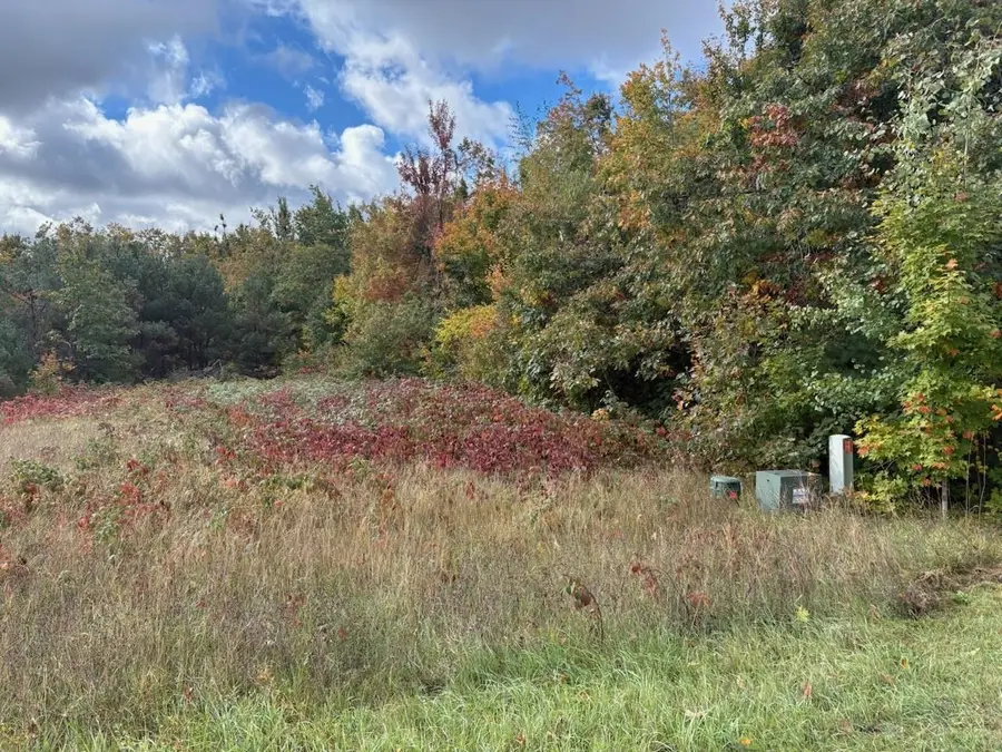 2805 Tagalder, Gaylord, MI 49735 - #3