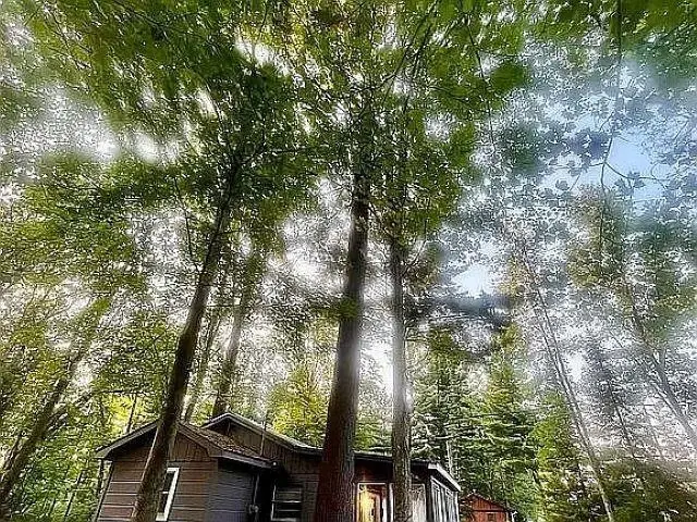 5298 Mills #Lot: 87.88, Prescott, MI 48756 - #3