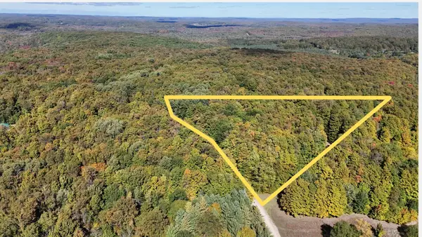 0 Edelweiss, Bellaire, MI 49615