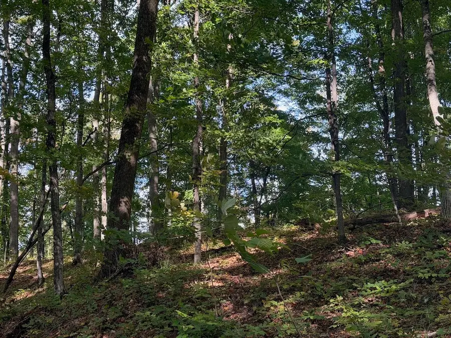 Unit 119 Legend, Bellaire, MI 49615 - #3