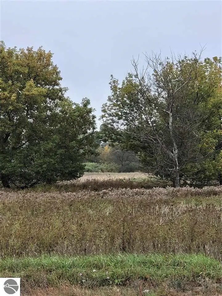 00 W Broomfield, Mount Pleasant, MI 48858 - #2
