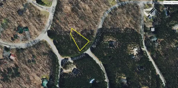 Lot 13 N Obervalden, Bellaire, MI 49615