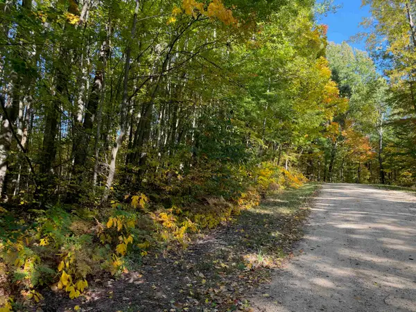 Ticino, Reed City, MI 49677