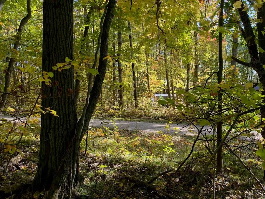 Ticino, Reed City, MI 49677 - #2