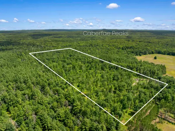 30 Acres W 48 1/2, Wellston, MI 49689