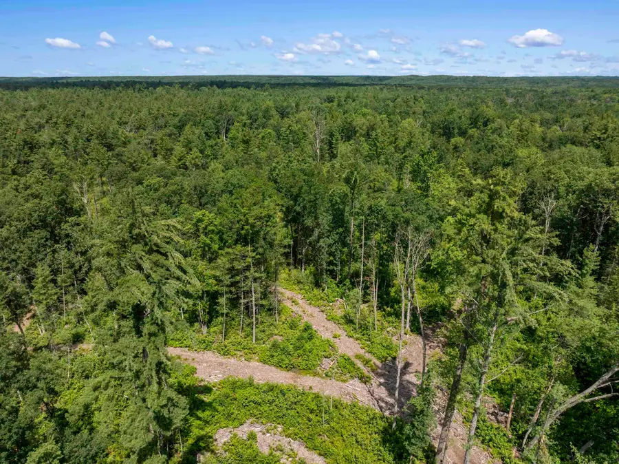 30 Acres W 48 1/2, Wellston, MI 49689 - #3