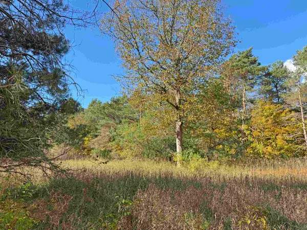 14XXX Brownell, Beulah, MI 49617