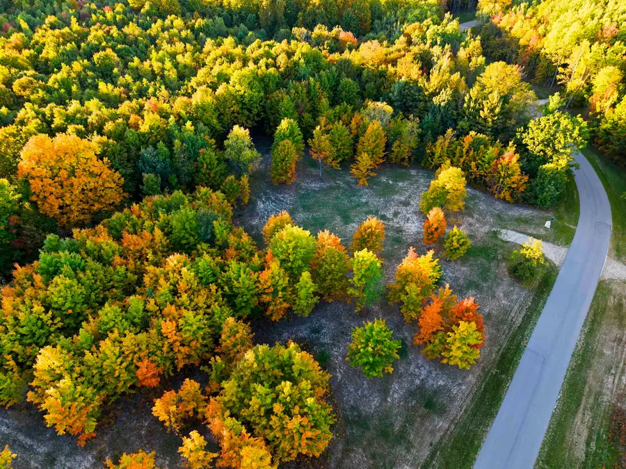 10825 SW Pine Ridge, Fife Lake, MI 49633 - #2