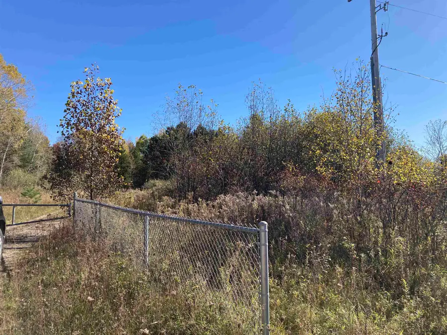 V/L Flynn, Rose City, MI 48654 - #3