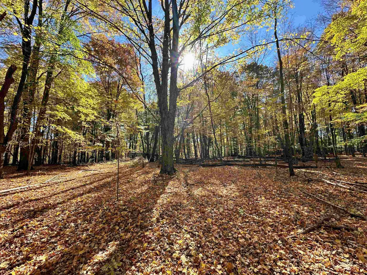 UA Timberline, Thompsonville, MI 49683 - #1