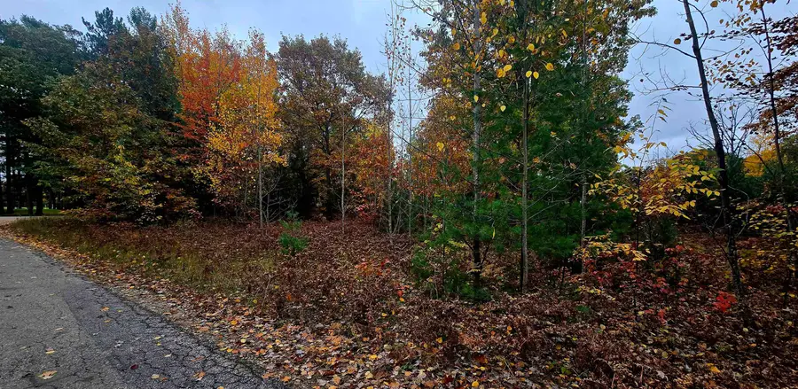 1915 NE Twin Birch, Kalkaska, MI 49646 - #2